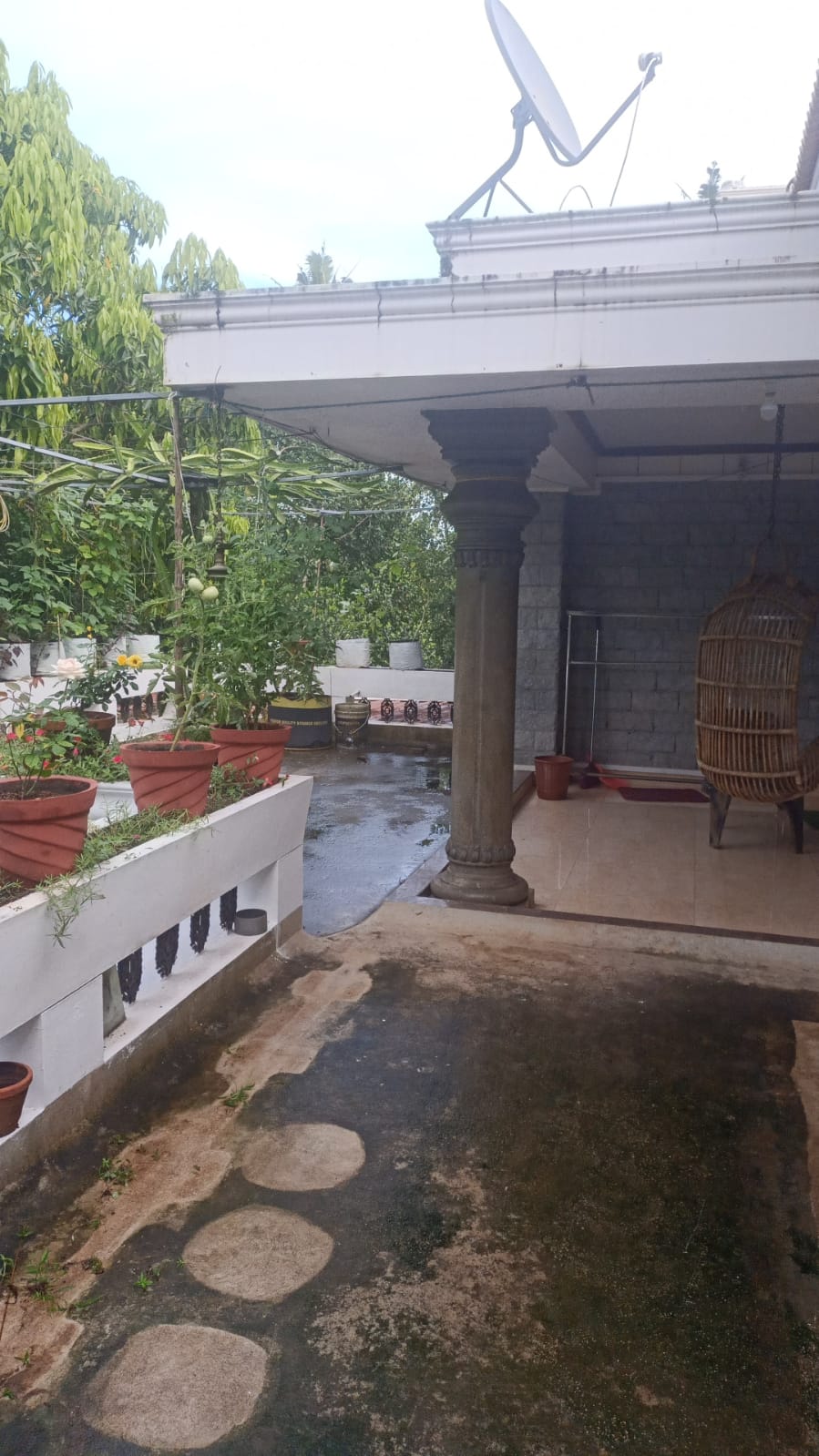 Molys Homestay gallery photo