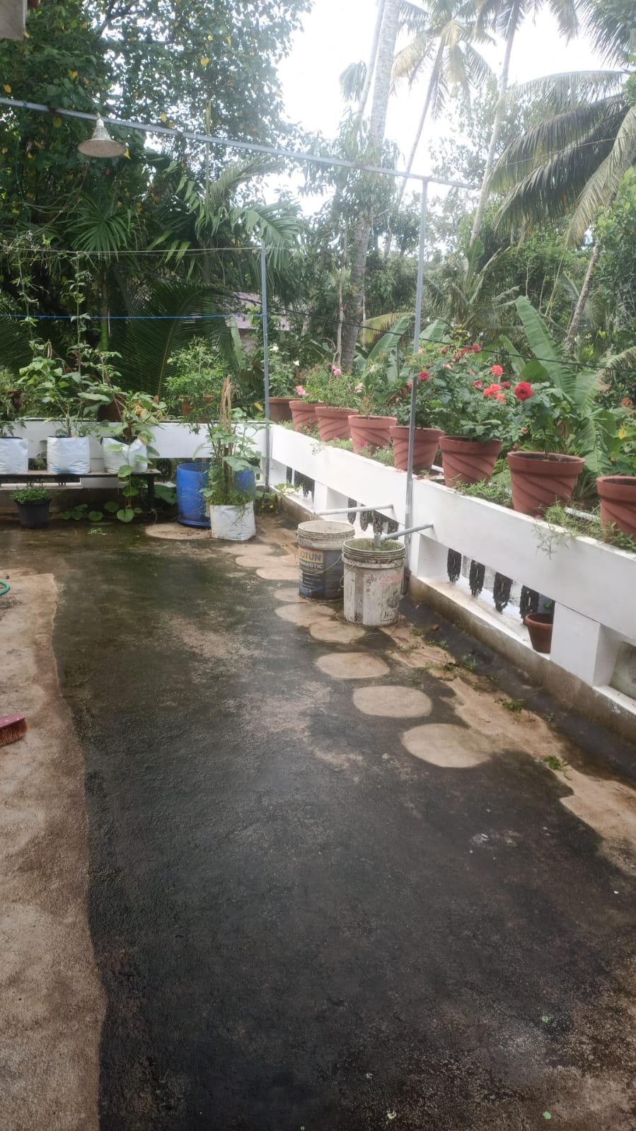 Molys Homestay gallery photo