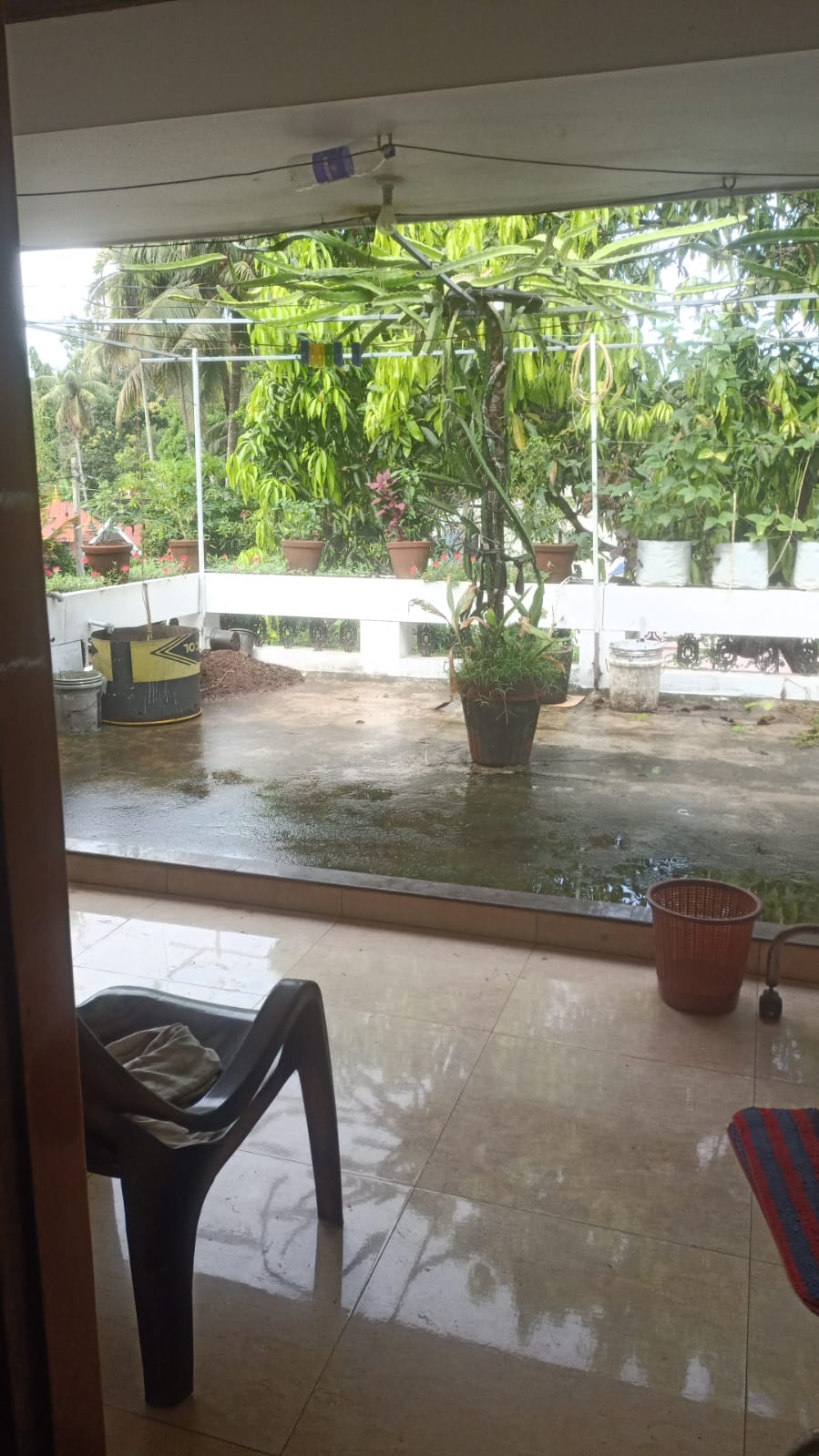 Molys Homestay gallery photo