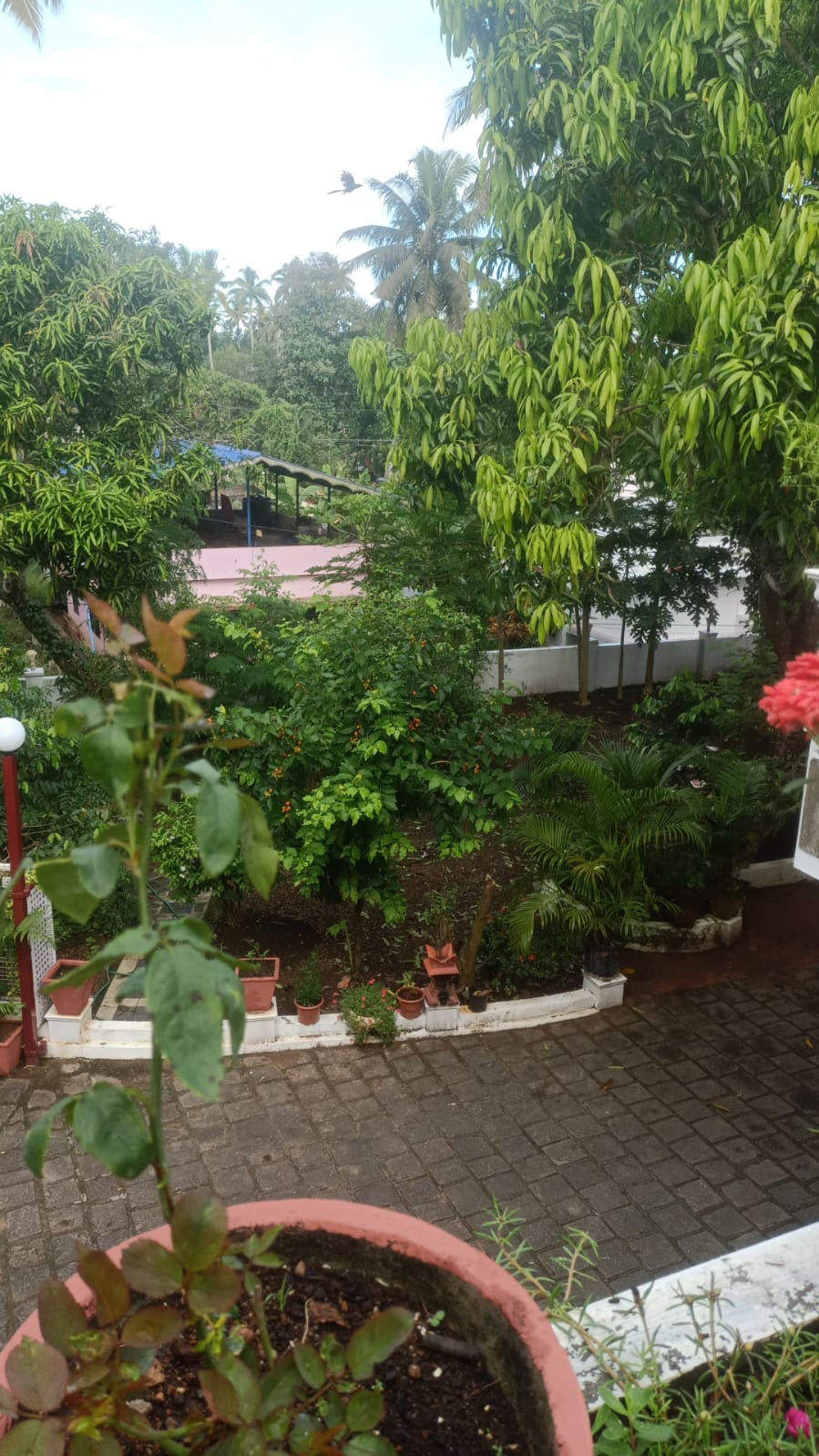 Molys Homestay gallery photo