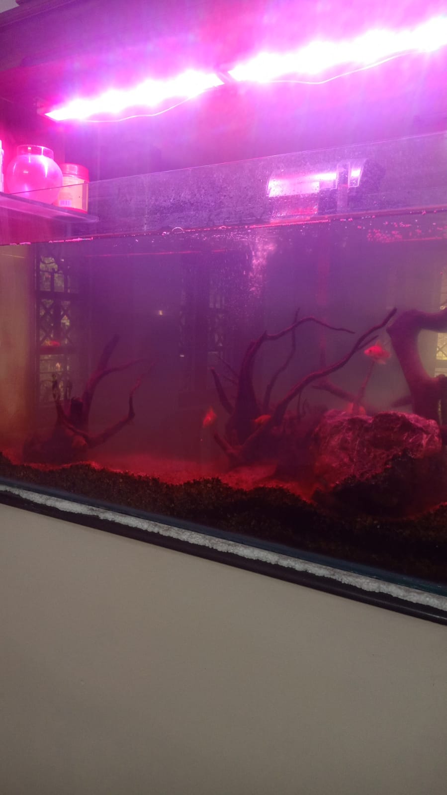 Molys Homestay gallery photo