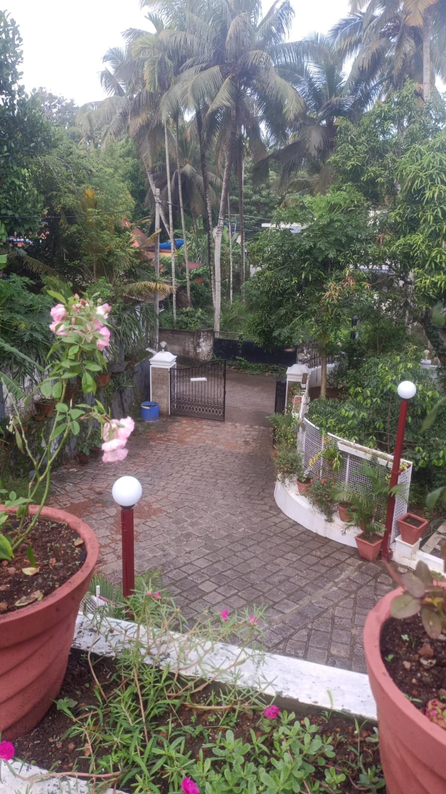 Molys Homestay gallery photo