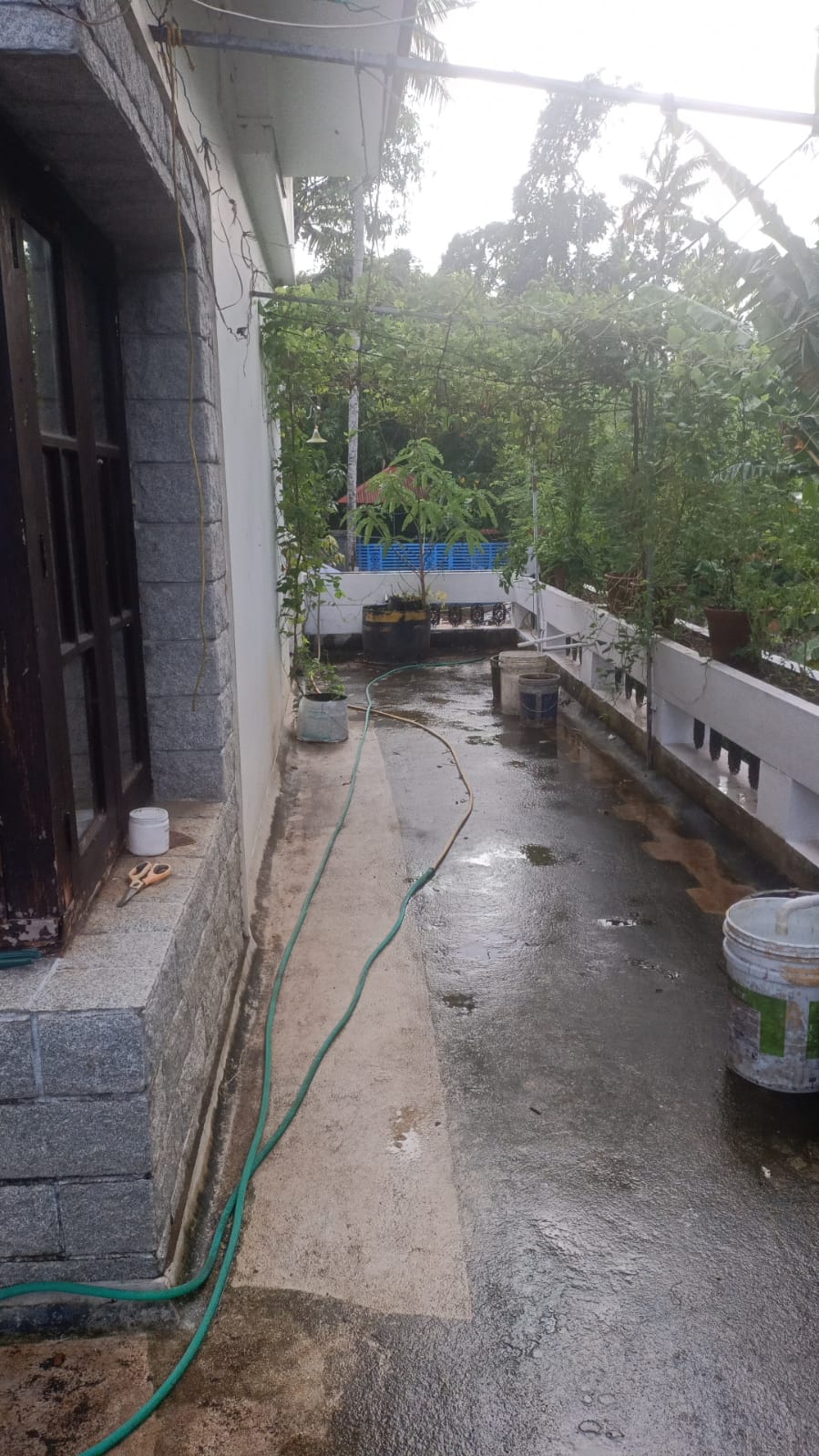 Molys Homestay gallery photo